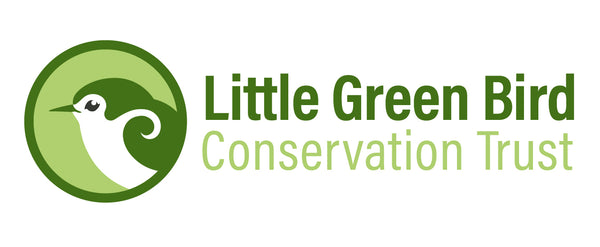 Littlegreenbirdtrust